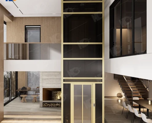 Traction glass home lift827584